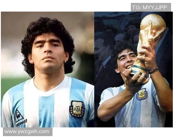 全球足球明星荣誉排行榜前二十名揭晓谁将成为历史最佳球员