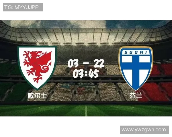 威尔士与芬兰比赛分析及推荐策略分享