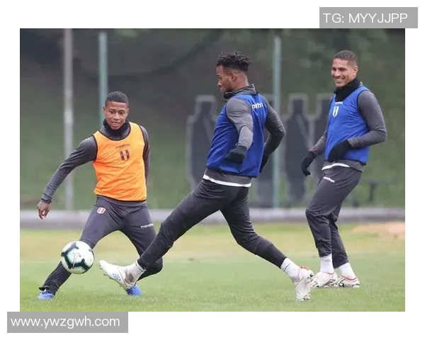 巴西与荷兰对决分析大小球投注策略与预测